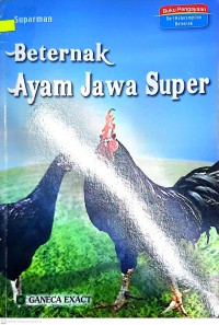 Beternak Ayam Jawa Super